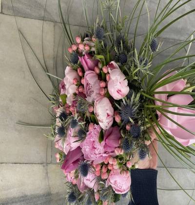  Turkei Blumen Paonie 