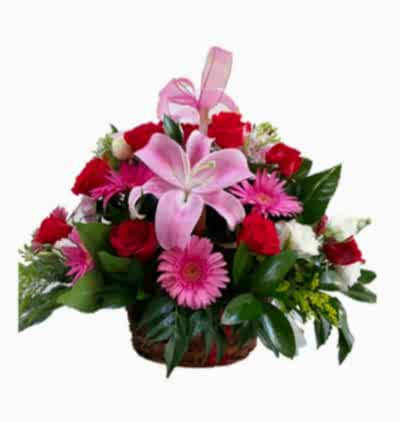  Türkiye Çiçekçiler 