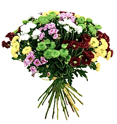  Türkiye Çiçek Gönder 