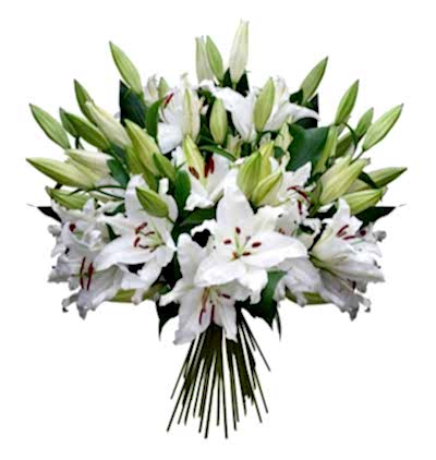  Türkiye Çiçekçiler 