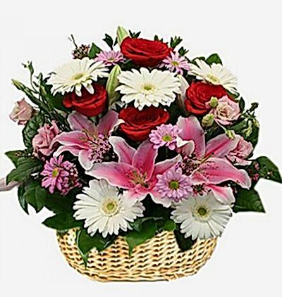  Türkiye Çiçekçiler 