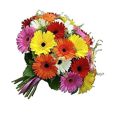  Türkiye Çiçekçiler 