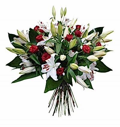  Türkiye Çiçek Siparişi 